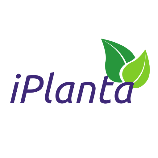 iplanta