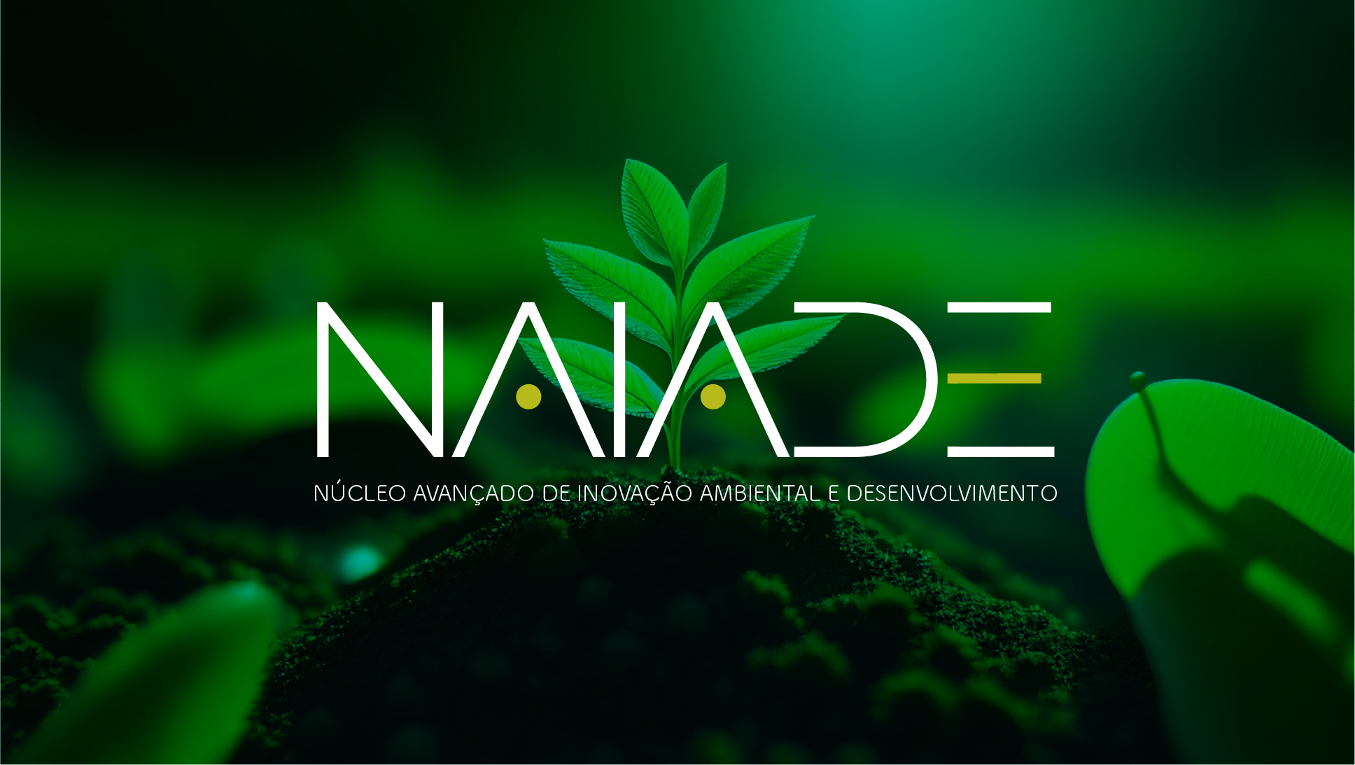 naiade