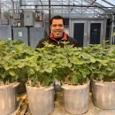 Felipe Lopes da Silva